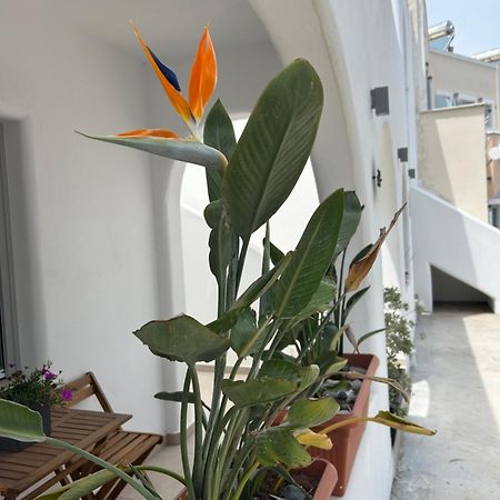 Ferienwohnung To Spitaki Sas, In Santorini! Mesaria Exterior foto
